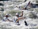 2011 World Championships Canoe Slalom, Copyright: Balint Vekassy
